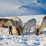 Smarthotel 3* Tromsø