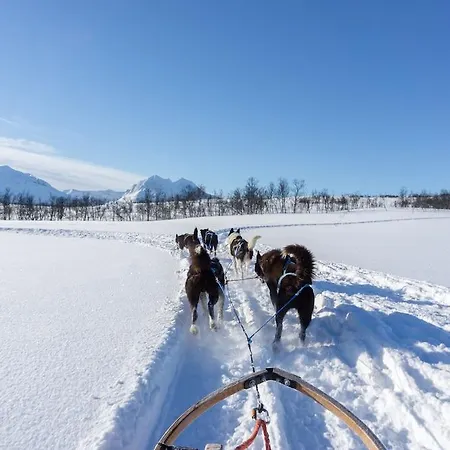 سمارت هوتل 3* ترومسو