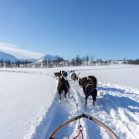 Szálloda Smarthotel Tromsø