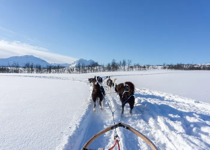 Hotel Smarthotel Tromsø